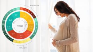 Pregnancy weeks calendar showing how far along you are